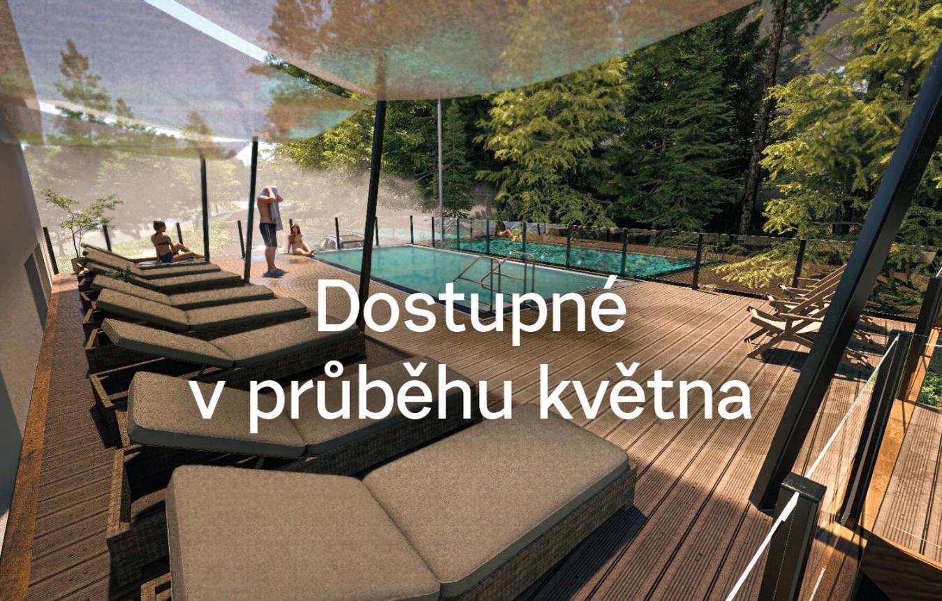 奥拉地平线度假酒店 Železná Ruda 外观 照片
